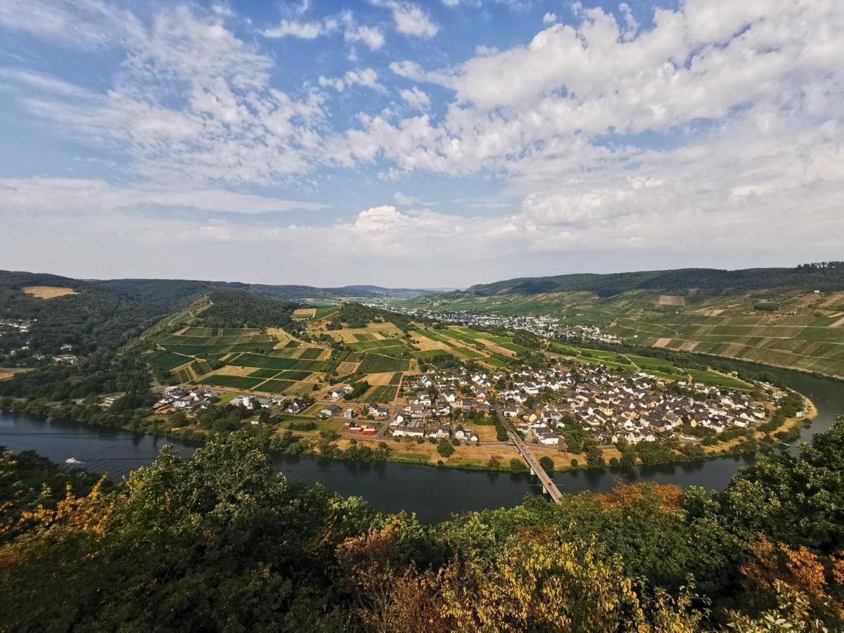 Ferienwohnung Moselpanorama Трабен-Трарбах Екстер'єр фото