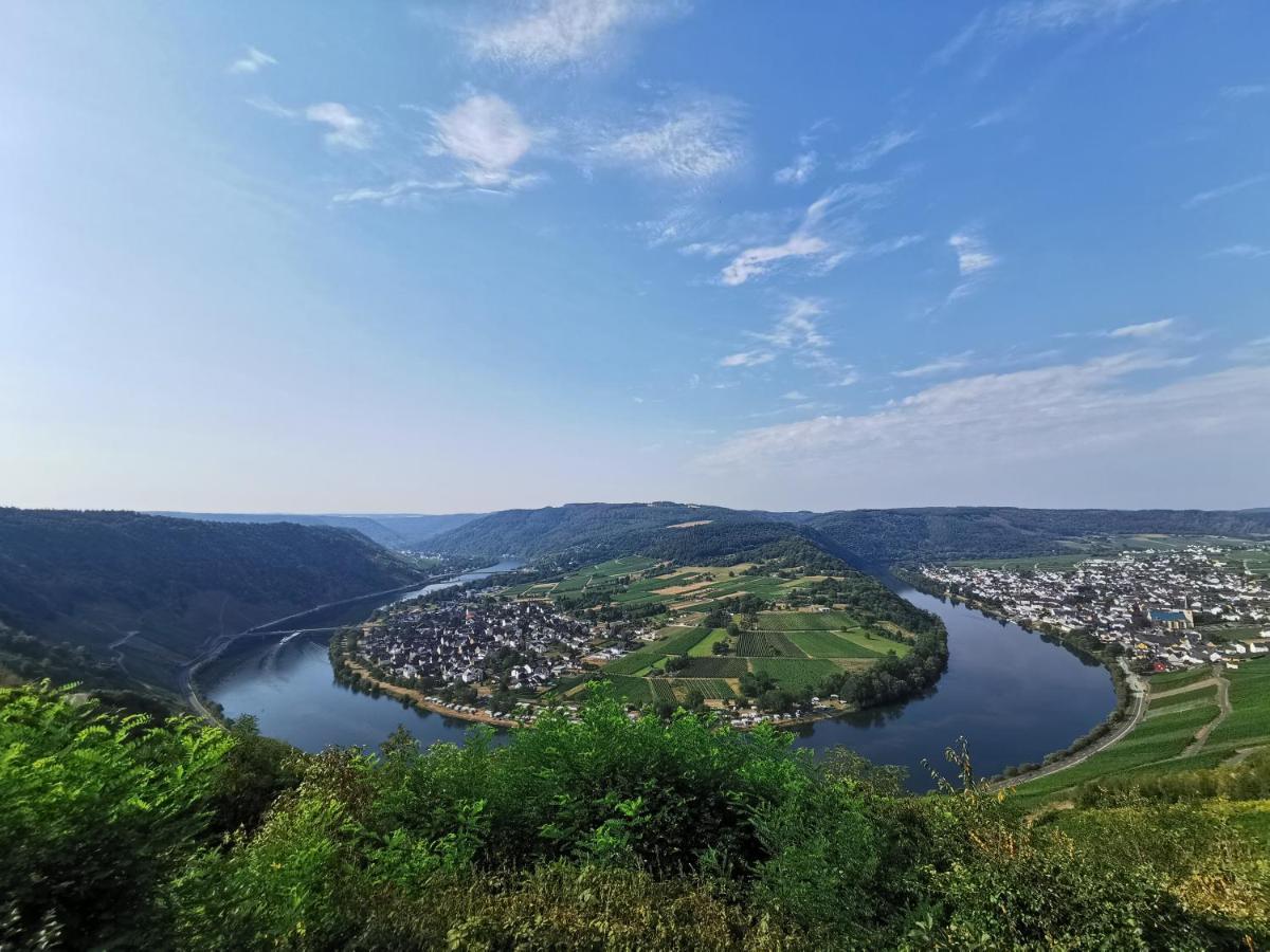 Ferienwohnung Moselpanorama Трабен-Трарбах Екстер'єр фото